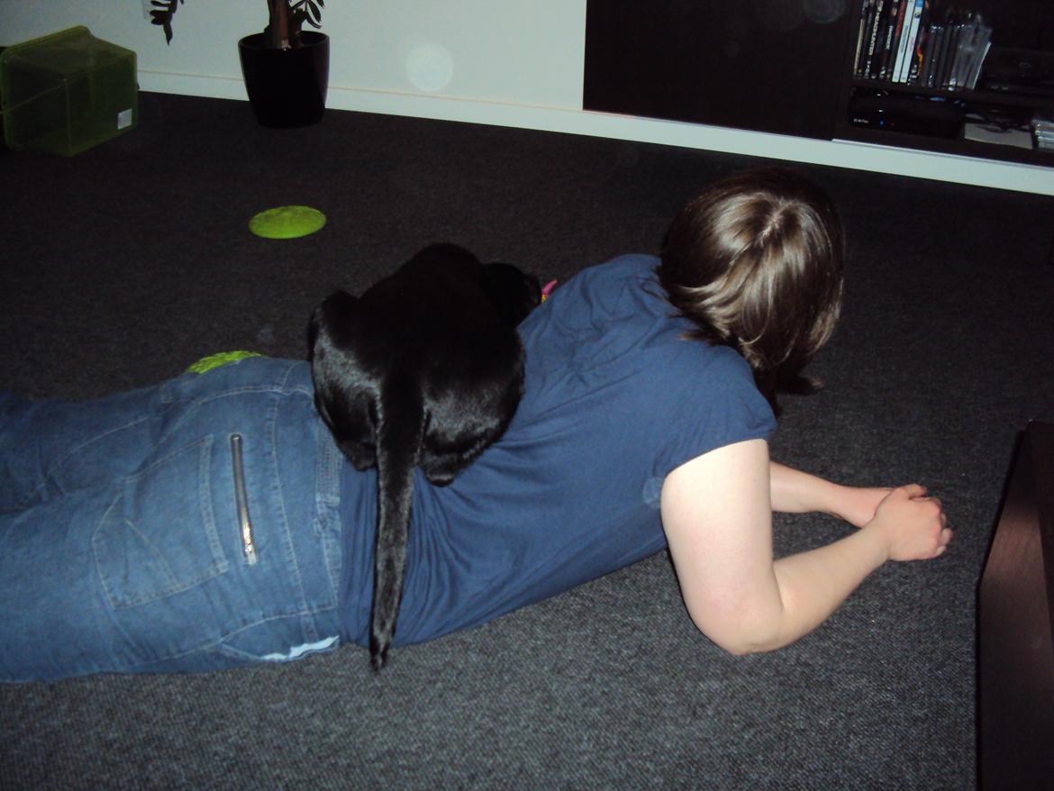 Labrador retriever Uffe - mig og mor hygger med fjernsyn billede 3