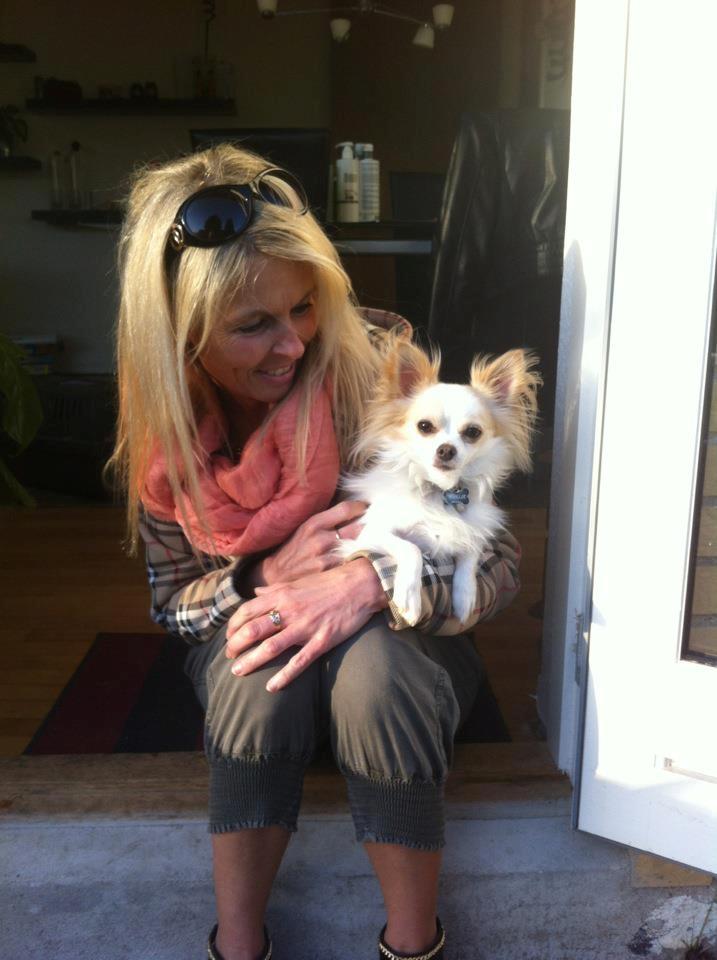 Chihuahua Bonnabell's Amor (Charlie) - den dag hun hentede ham <3<3 billede 2