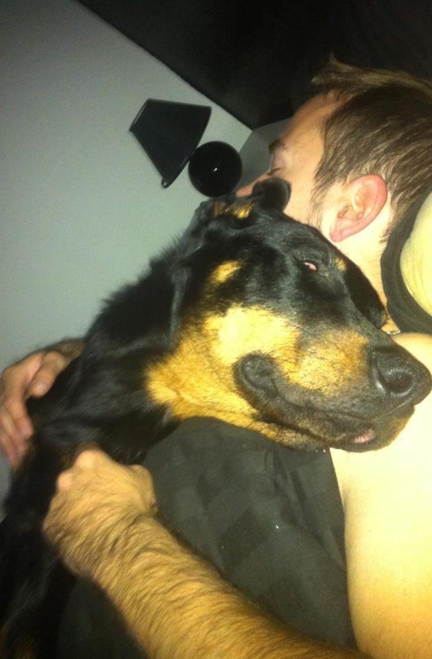 Beauceron Cosmo - 8 mdr billede 11