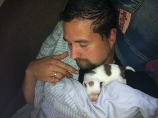 Chihuahua Tumle - Det bar hygge :) billede 9