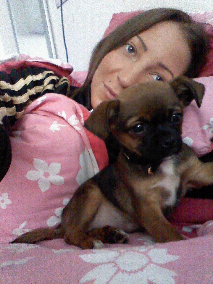 Blanding af racer Milo. billede 5