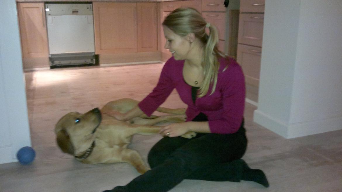 Blanding af racer Basco billede 4