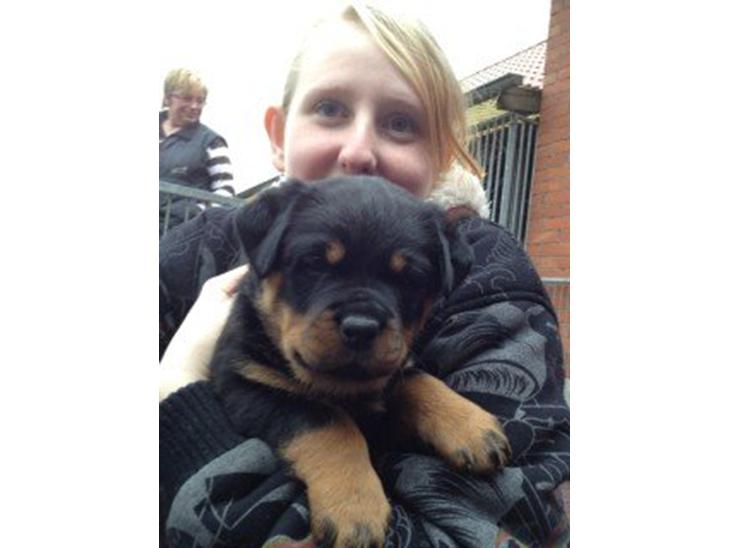 {{currentPhoto.altText}} billede {{currentPhoto.number}}