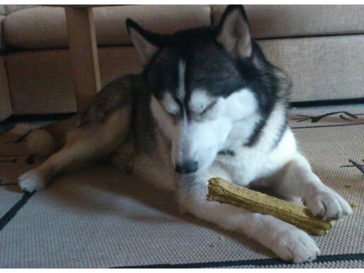 {{currentPhoto.altText}} billede {{currentPhoto.number}}