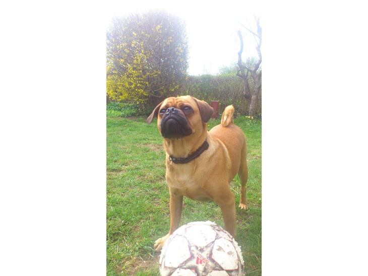 Blanding af racer Anton - Talkin to me? billede 1