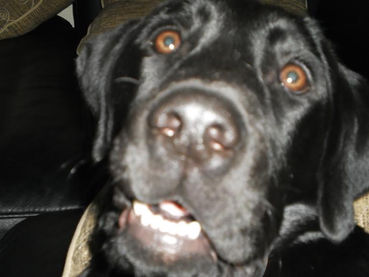 {{currentPhoto.altText}} billede {{currentPhoto.number}}