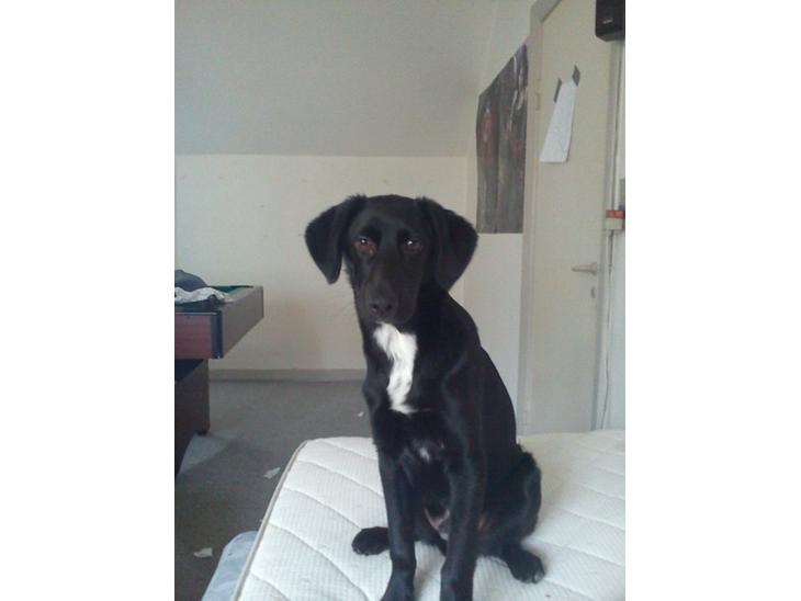 {{currentPhoto.altText}} billede {{currentPhoto.number}}