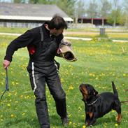 Rottweiler Kenja