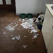 Blanding af racer Victor