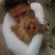 Blanding af racer Sofus