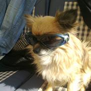 Blanding af racer Lilo