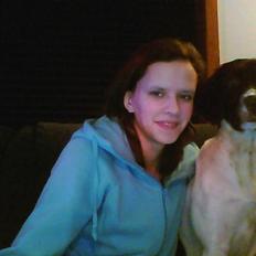 Kleiner münsterländer Molly