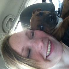 Staffordshire bull terrier Belila chira ( idaglig tale mika )