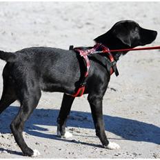 Blanding af racer Bumle