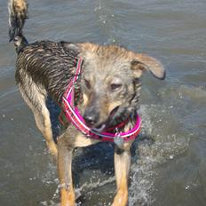 Blanding af racer Messi