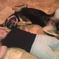 Blanding af racer Stingway