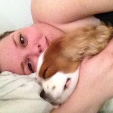 Cavalier king charles spaniel Cocio 2006-2016