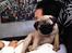Mops Lara