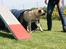 Bullmastiff Raya (Bullgrin's 'N Librrani No Mercy) - 7 mdr