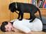 Labrador retriever Anton - Anton var så sød og give mig massage, det var nu ikke så behageligt xD
16/05-2012.