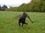 Labrador retriever / springer spaniel  Plet *den manglende del af mig - miss you..<3 omkring 5 dage inden han blev aflivet..<3