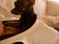 Russisk toy terrier TisTis