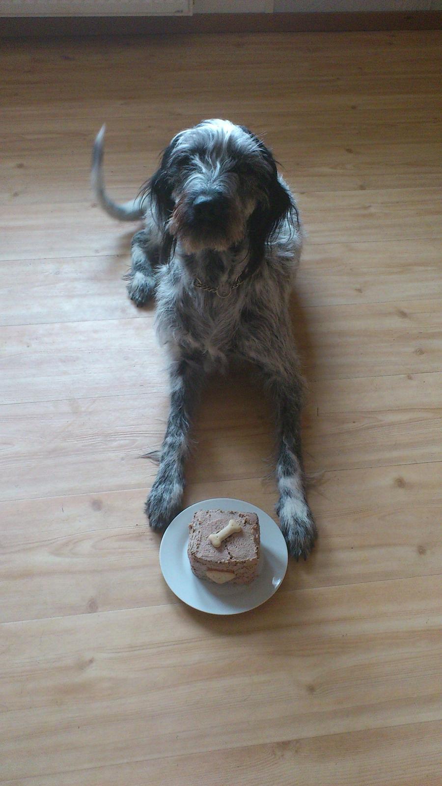 Blanding af racer Zikka billede 5