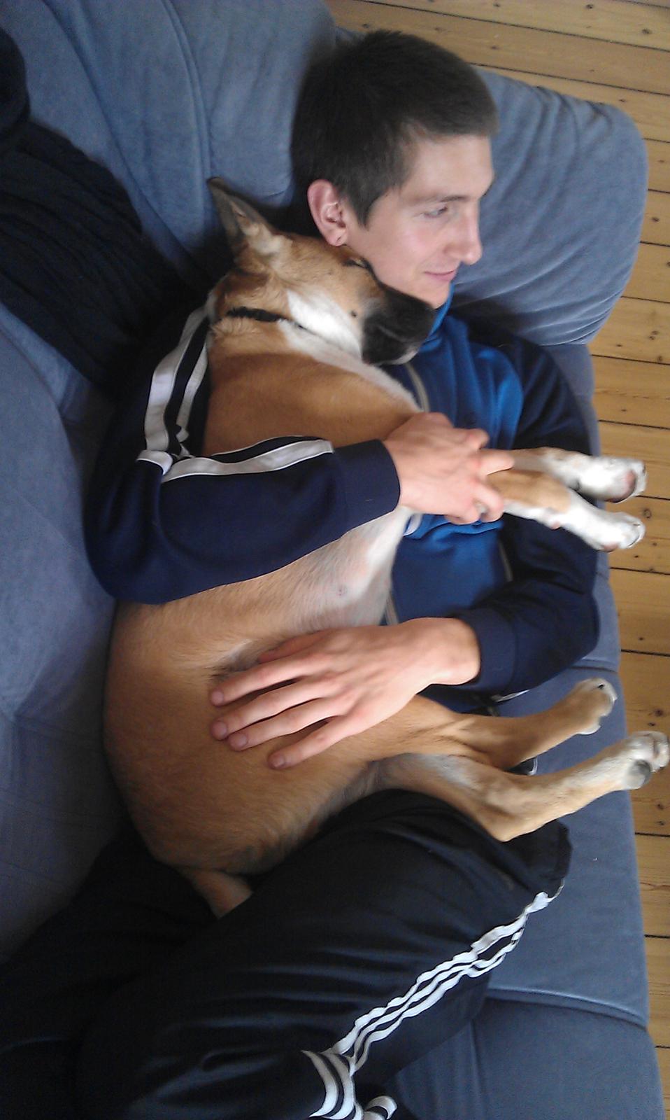 Blanding af racer oskar billede 11