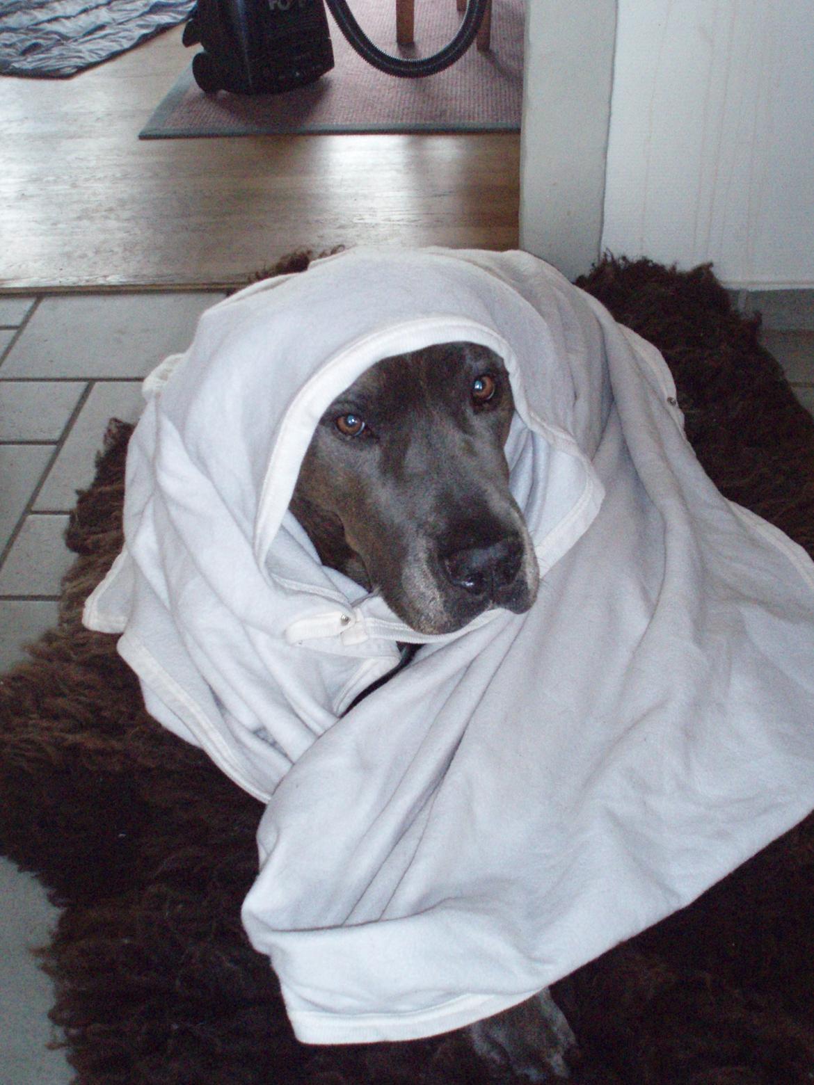 Blanding af racer Kovaz R.I.P - Now bow before me Padawan! billede 16