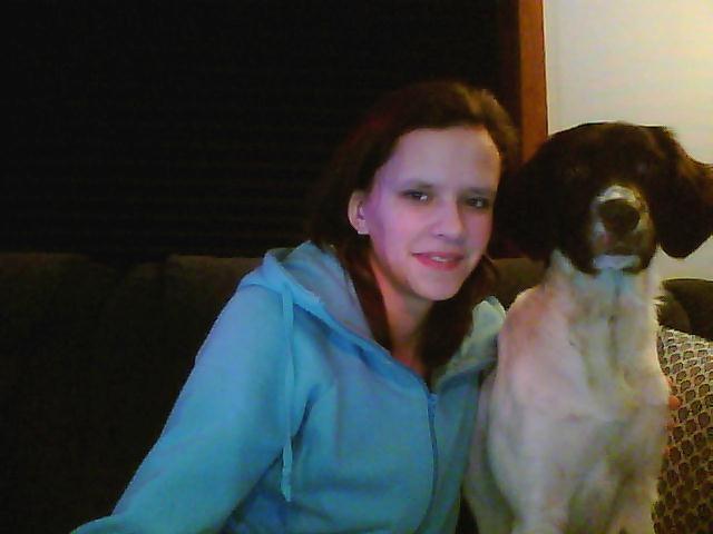 Kleiner münsterländer Molly billede 3