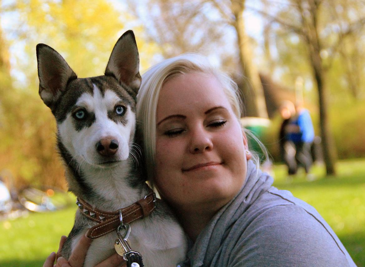 Blanding af racer Trinity billede 6