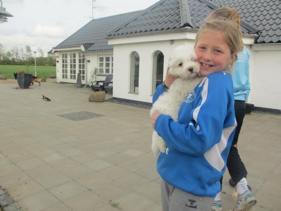 Coton de tulear Cuba:-* Min dreng<3 - lillesøster og cuba :-* billede 5