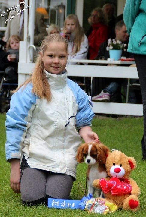 Cavalier king charles spaniel Murnley´s Bijou Avenue - Bijou - Rie med Bijou - 2. bedste barn og hund (11-16 år) på Bakkeskue 17/5-12. Tak til Kristine for foto billede 14