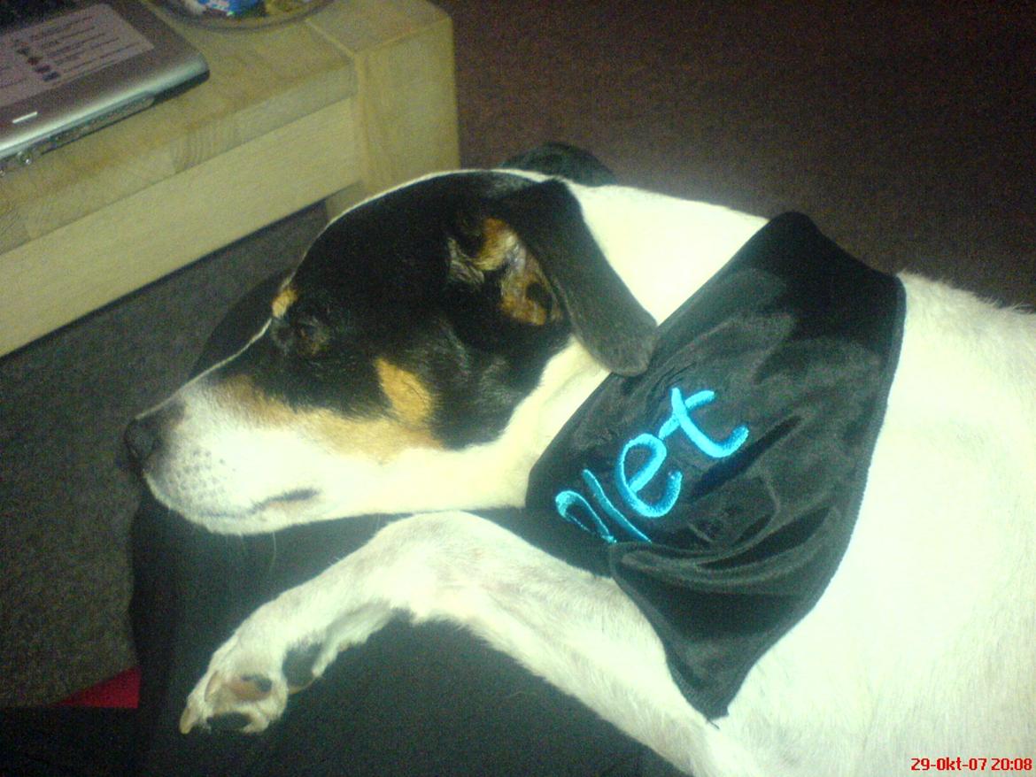 Blanding af racer Plet Luske Andersen - <3 billede 7