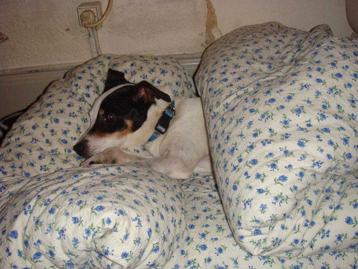 Blanding af racer Plet Luske Andersen - Tager lige en time (: billede 15