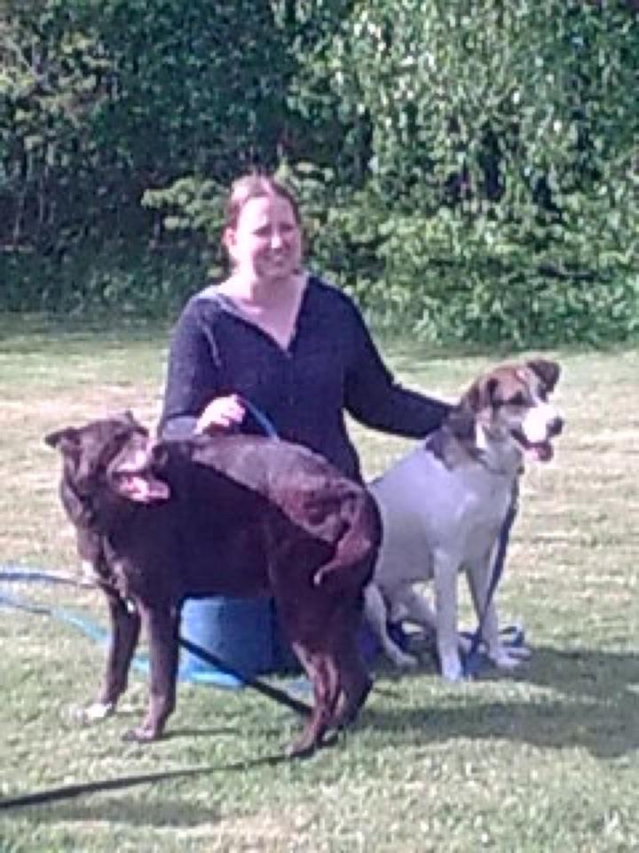 Blanding af racer Laky billede 5