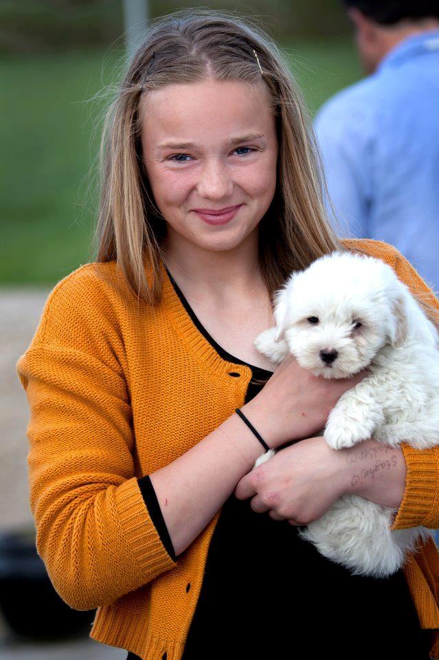 Coton de tulear Cuba:-* Min dreng<3 - Velkommen til Cuba's profil (-: <3<3. billede 1