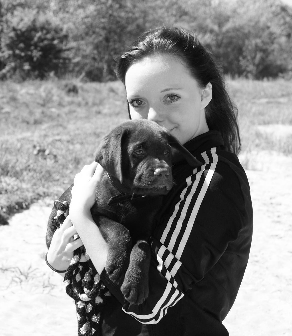 Labrador retriever Balou - 21/05-12 mig & balou :)  billede 19