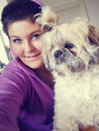 Shih tzu Toffie billede 10