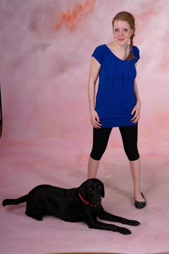 Labrador retriever Trille - mig og trille til modelfoto billede 13