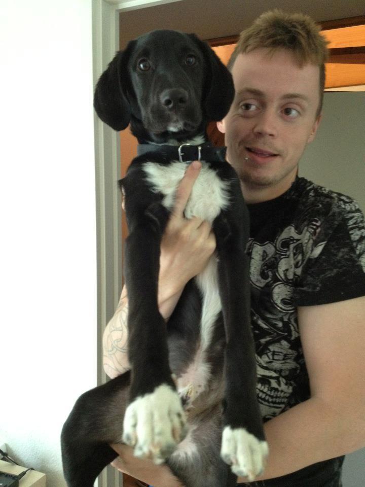 Blanding af racer Bumle billede 7