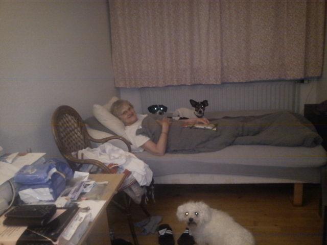 Blanding af racer Vappe - Familiehygge med &quot;mormor&quot; og t&#248;sen :) uhmm sk&#248;nt hundeliv billede 11