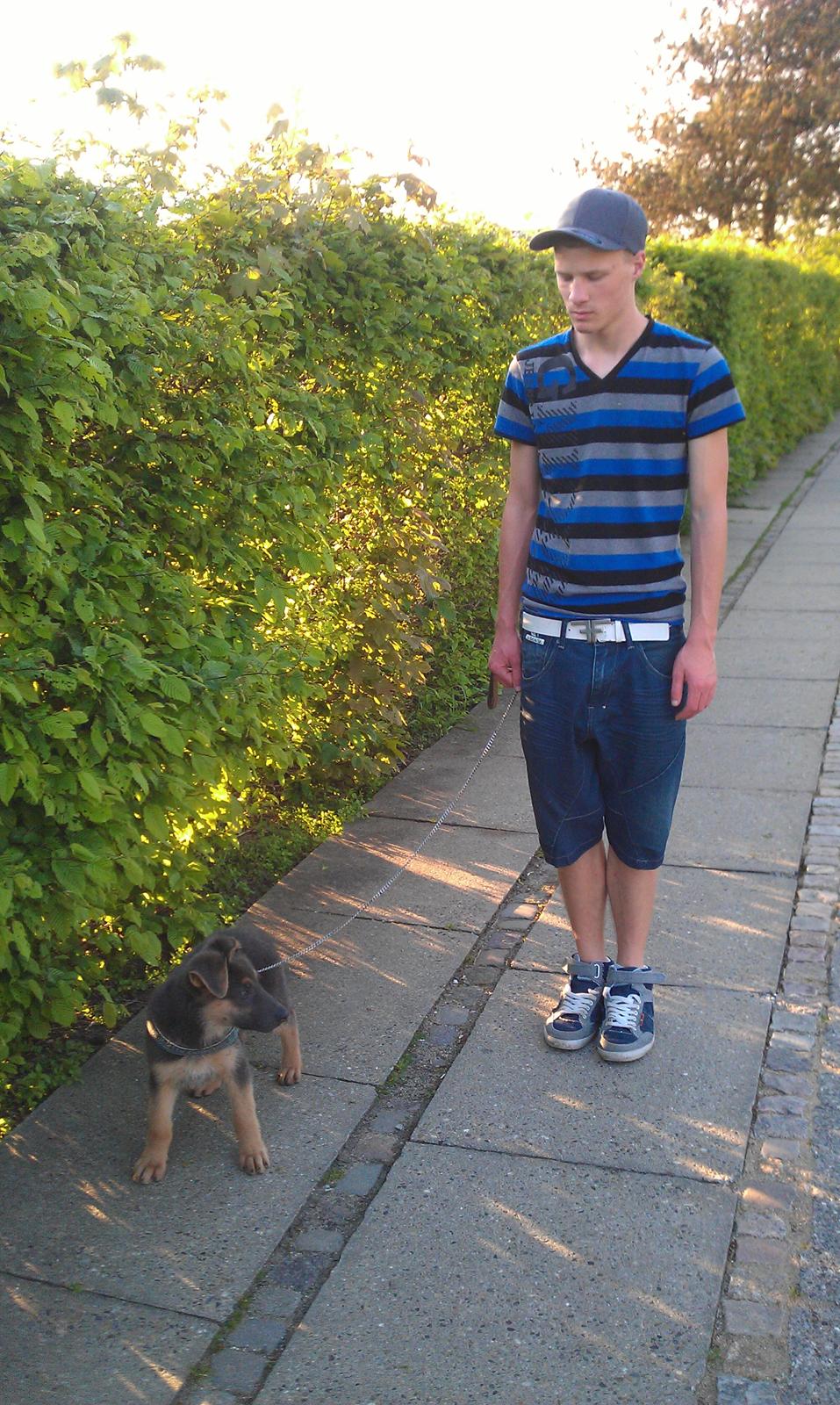 Schæferhund Bella - Bella på gåtur med far og mor! :0) Mor tager billedet. billede 3