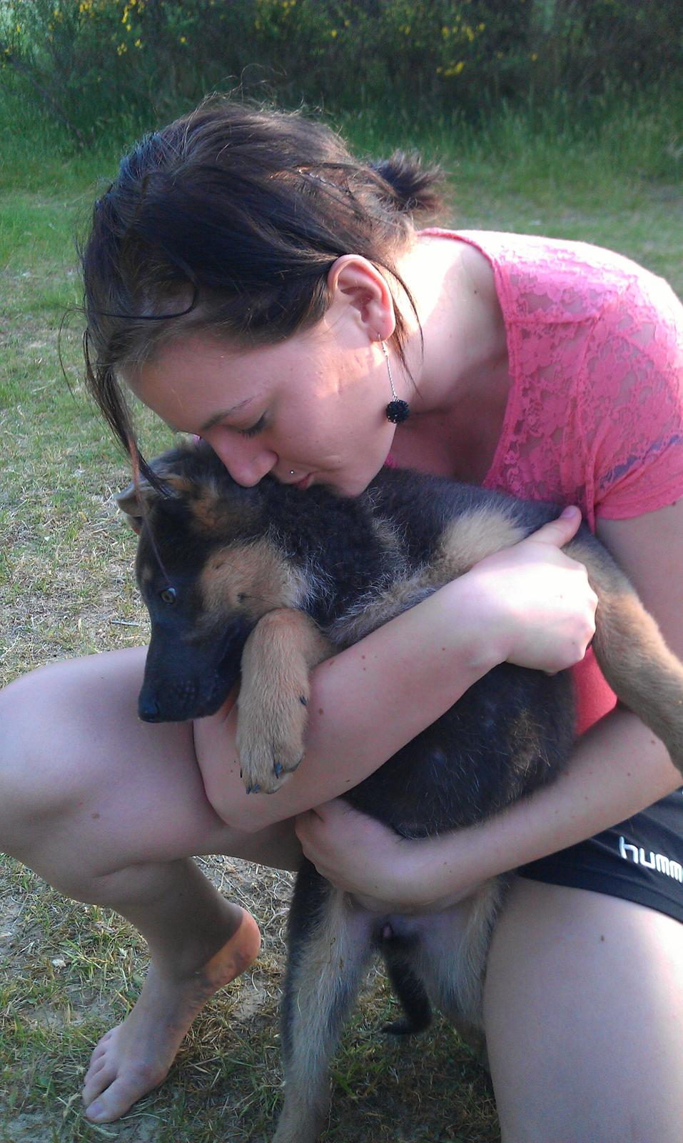 Schæferhund Bella - Får en kæmpe møsser af mor, dejligt! billede 6