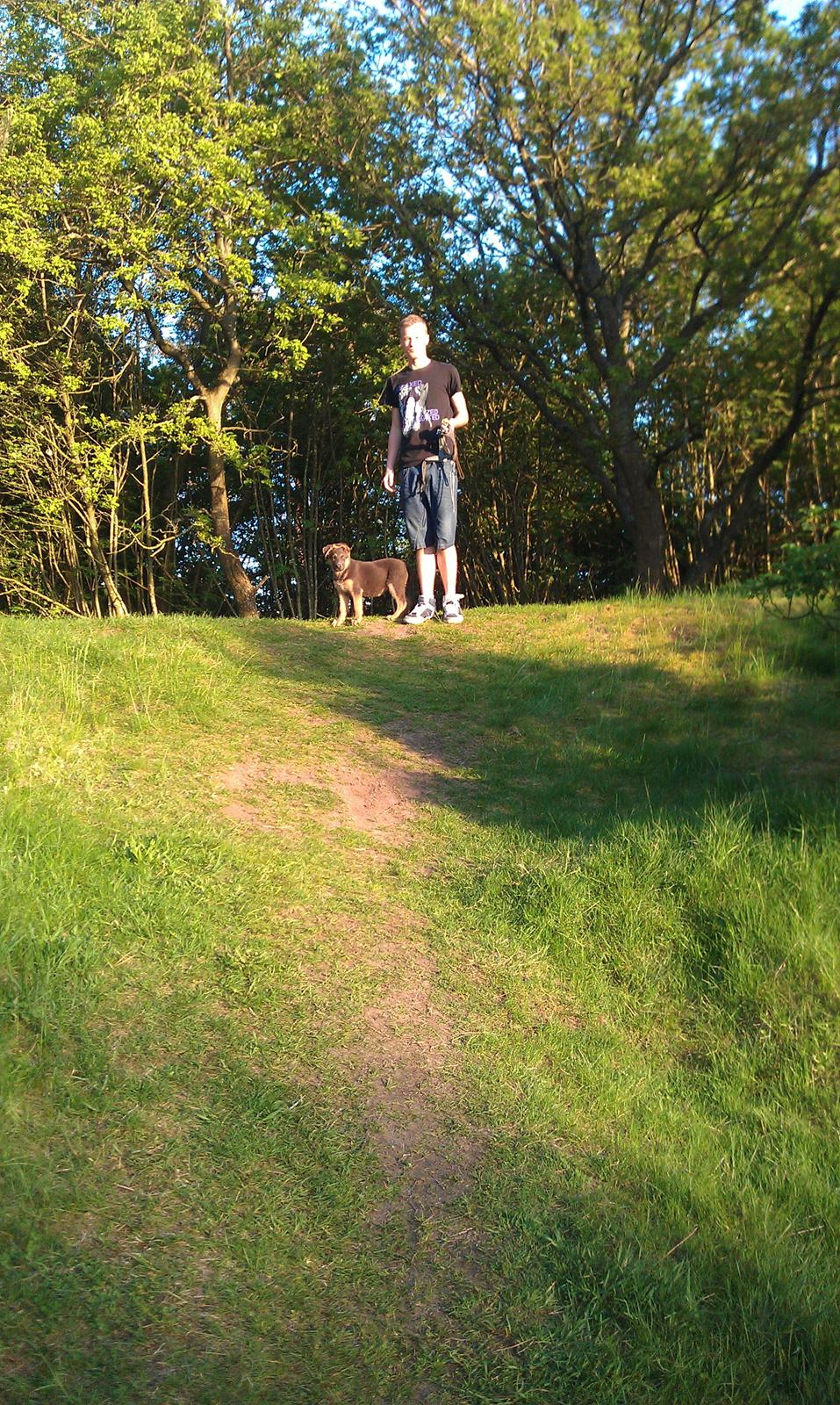 Schæferhund Bella - <3 billede 10