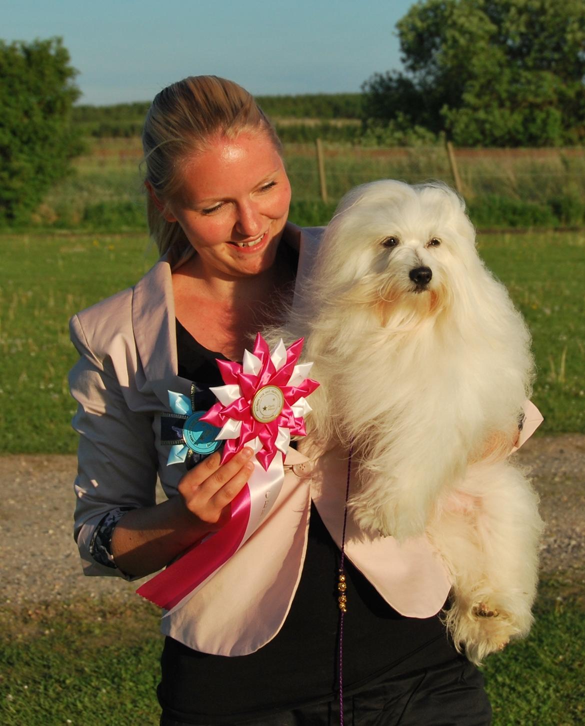 Coton de tulear Jegums Princess Becca - Hundemor er super stolt over sin prinsesse - to certer, to BIM - på tre udstillinger :-) billede 20