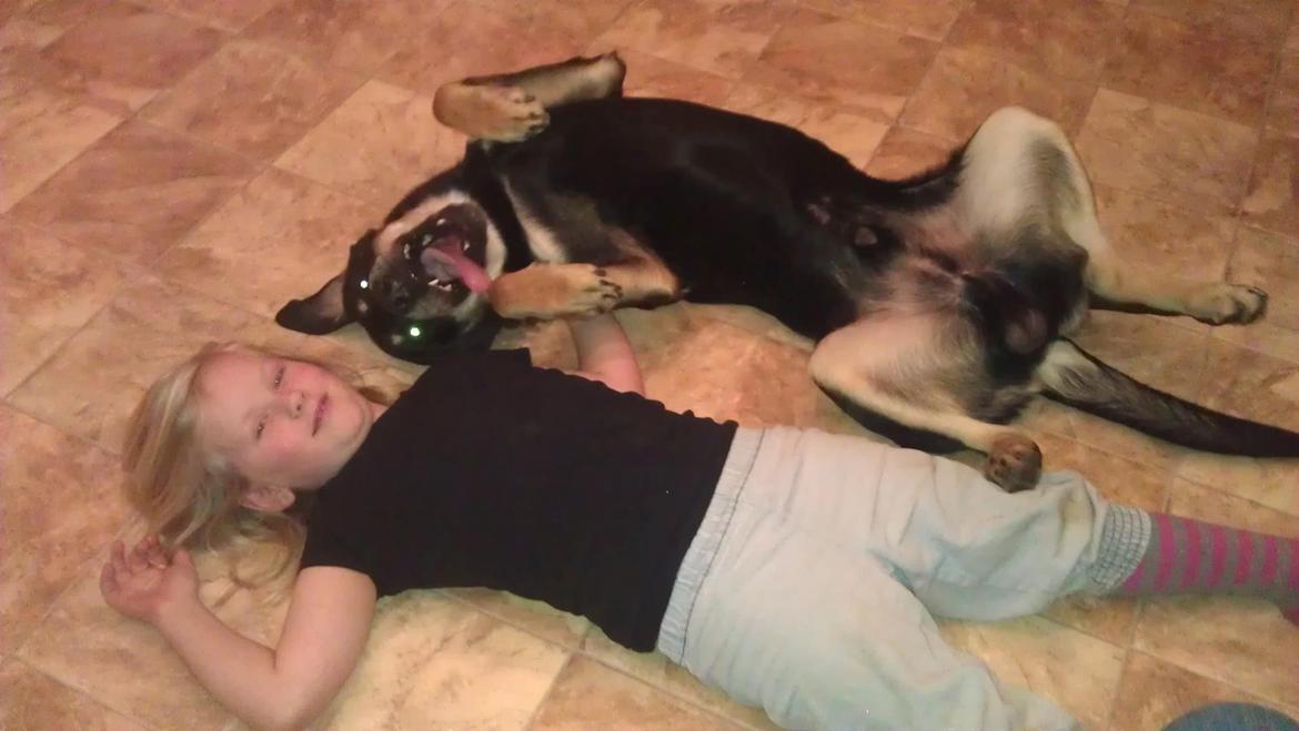 Blanding af racer Stingway billede 2