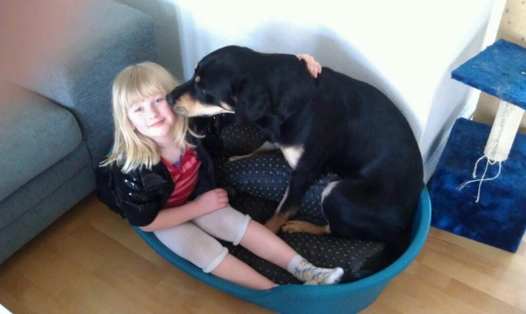 Blanding af racer Stingway billede 4