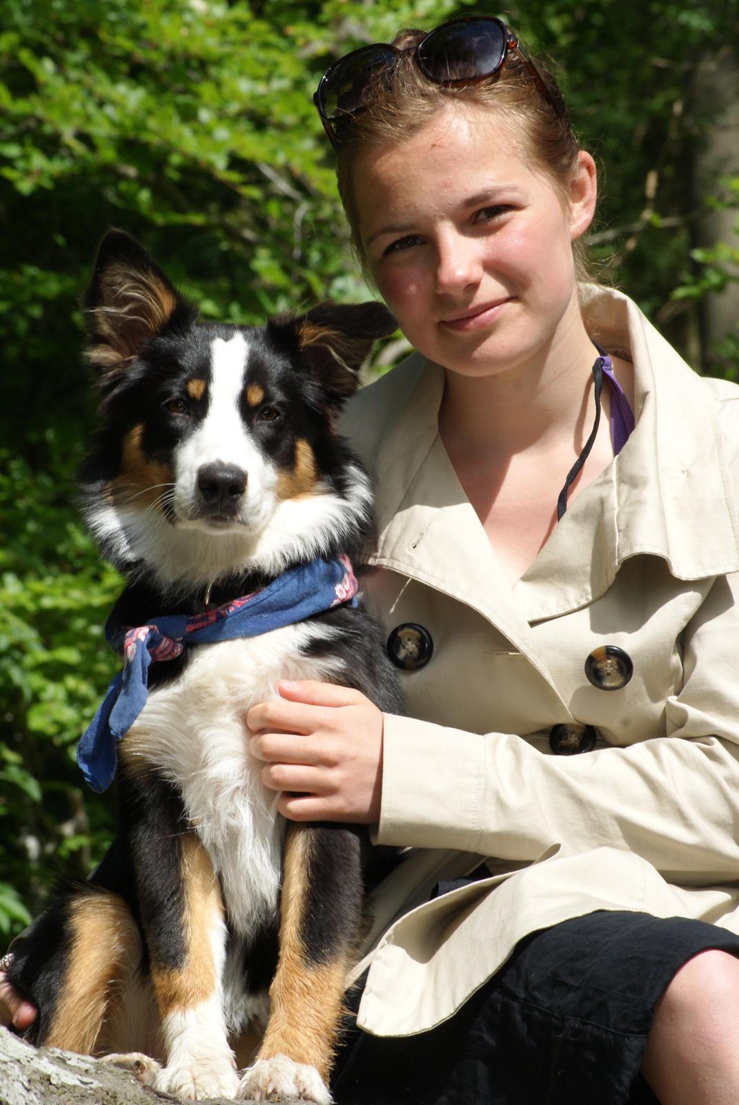 Australian shepherd Mille billede 18