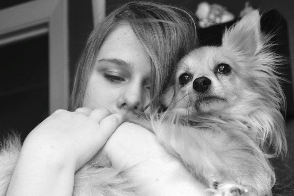 Blanding af racer Vaks [Himmelhund] billede 10